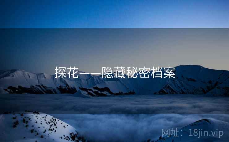 探花——隐藏秘密档案