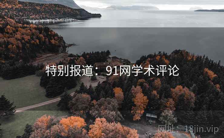 特别报道：91网学术评论