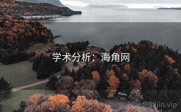 学术分析：海角网