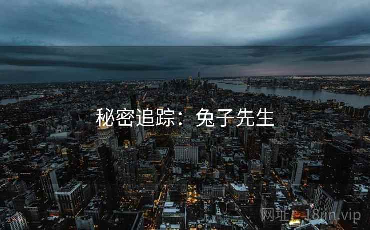 秘密追踪：兔子先生