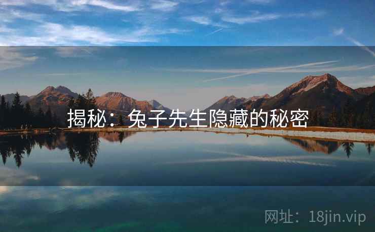 揭秘：兔子先生隐藏的秘密