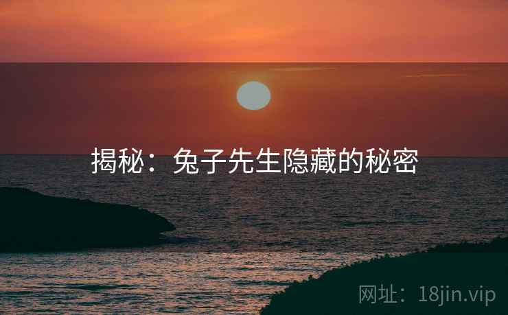 揭秘：兔子先生隐藏的秘密