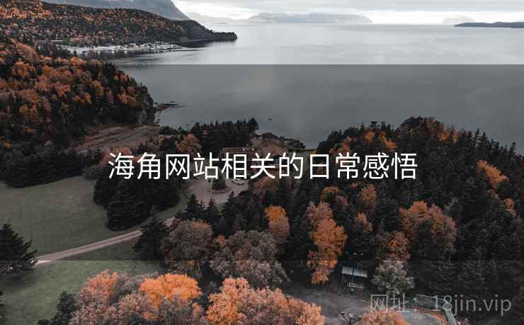 海角网站相关的日常感悟